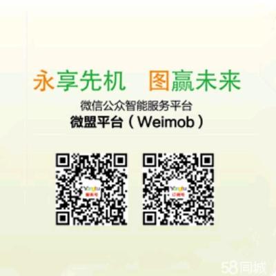 汕頭微信營銷與網(wǎng)站建設 數(shù)字化發(fā)展的關鍵驅動力